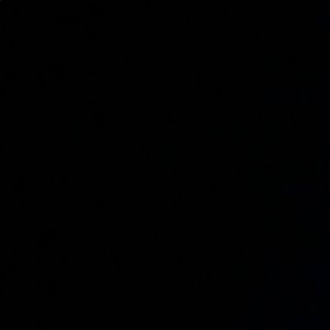 Meet your Posher, Maddie